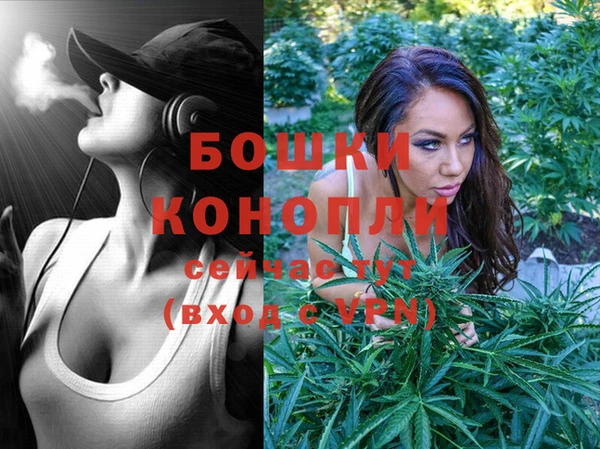 твердый Новодвинск