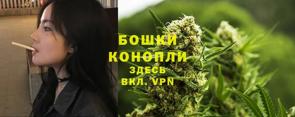 твердый Новодвинск