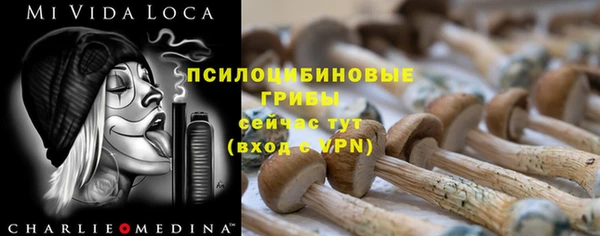 твердый Новодвинск
