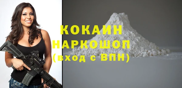 твердый Новодвинск