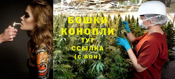 твердый Новодвинск
