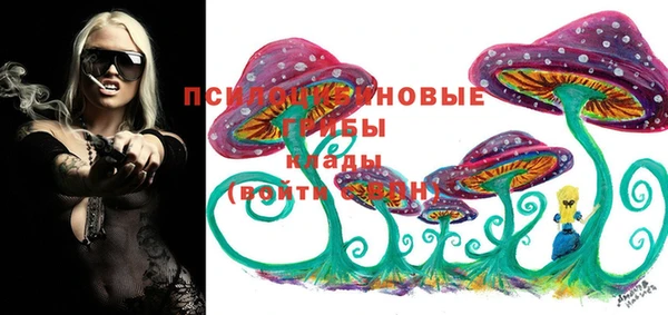 твердый Новодвинск