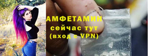 твердый Новодвинск