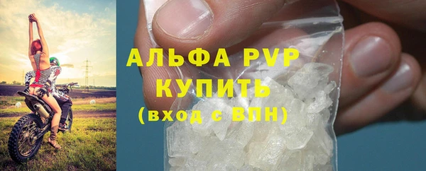 твердый Новодвинск